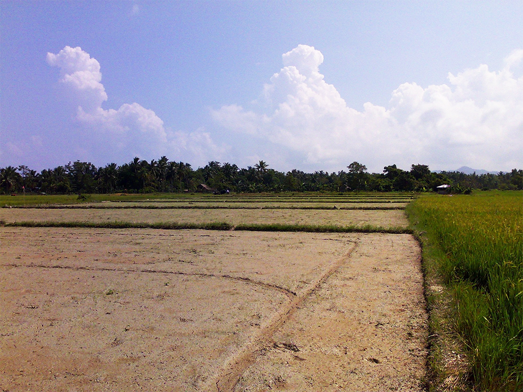 SV05-006-0387_5