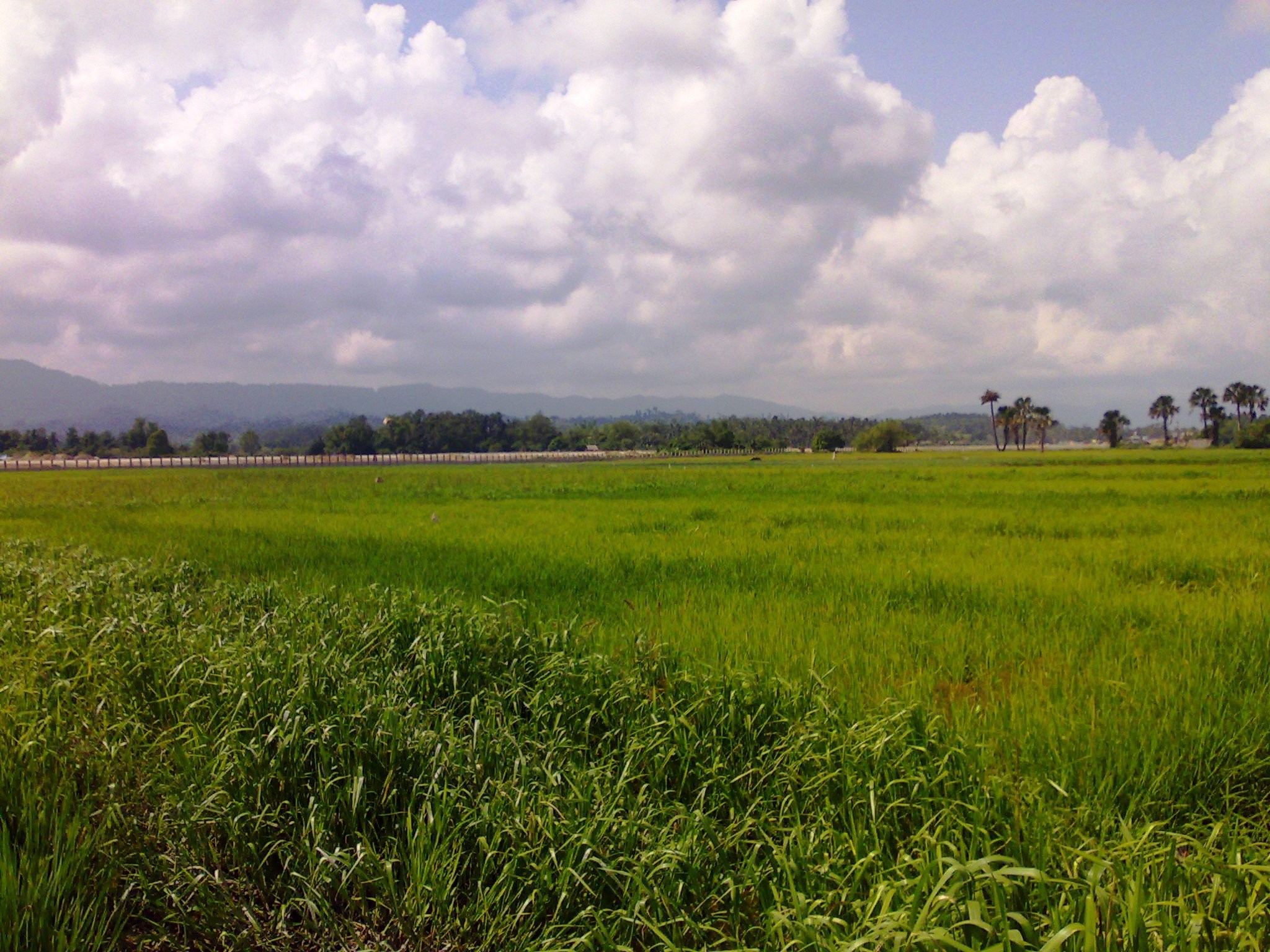 SV05-006-0387_7