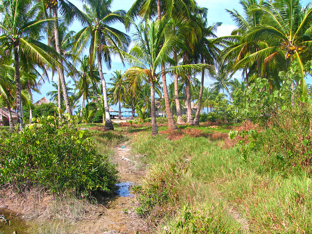 SV02-016-0591_5