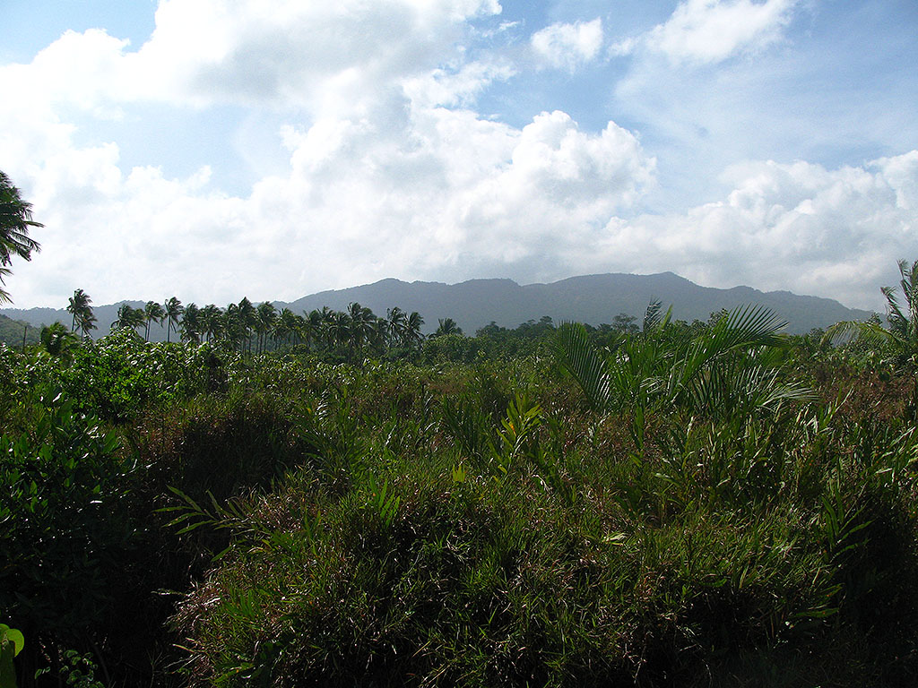 SV02-016-0591_6