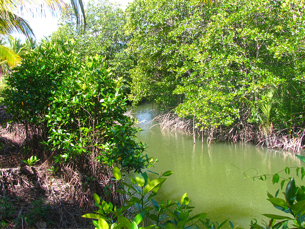 SV02-016-0591_9