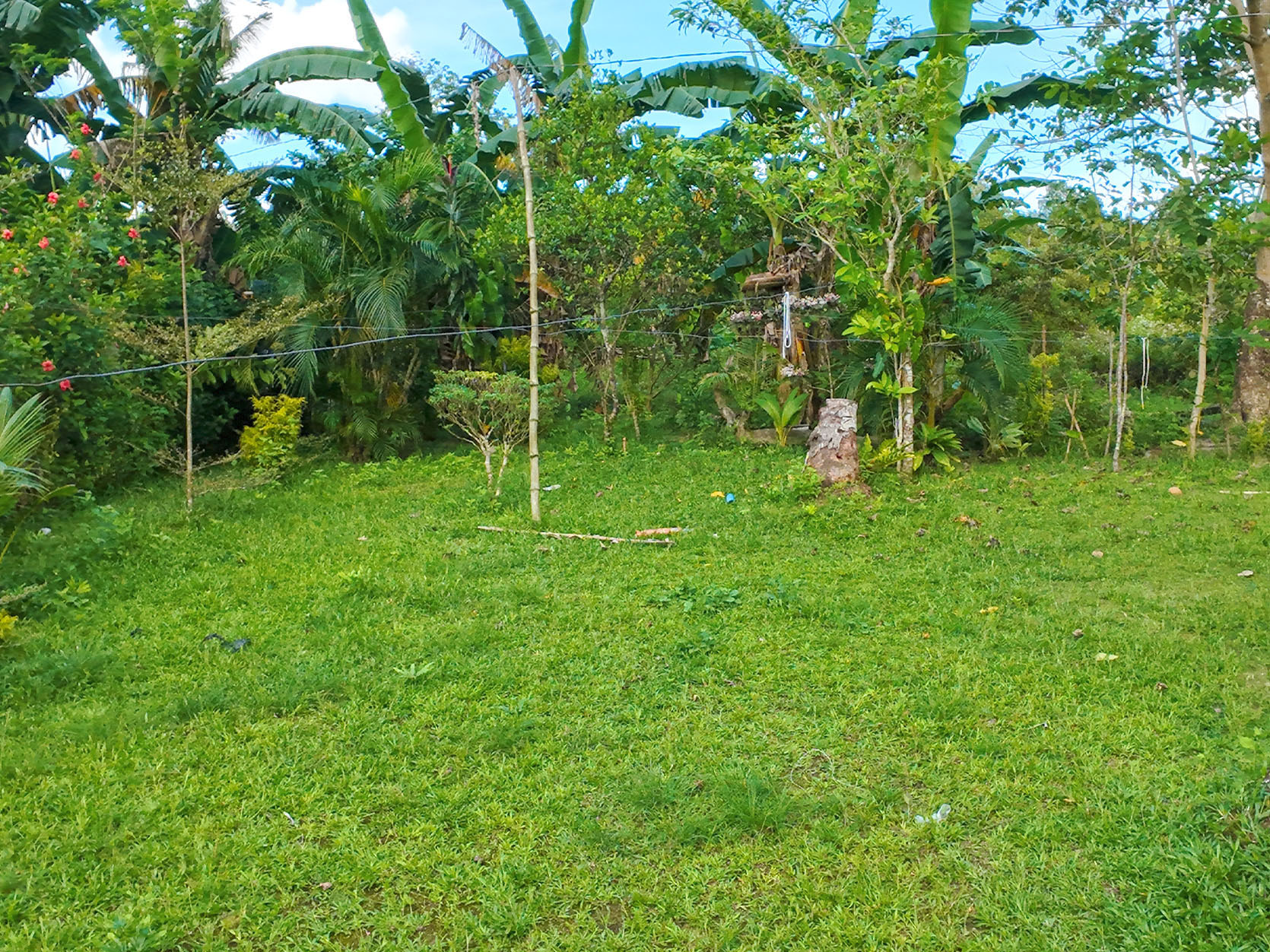 SV07-016-0348_4