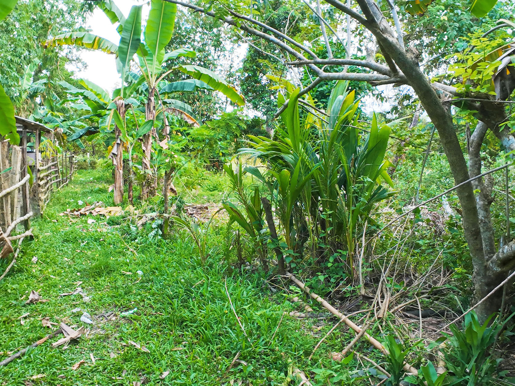 SV07-016-0348_8