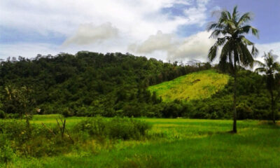 EN10-006-0264_2