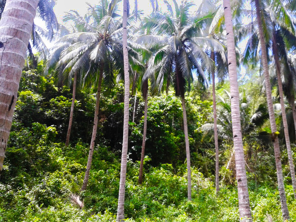 EN10-006-0264_5
