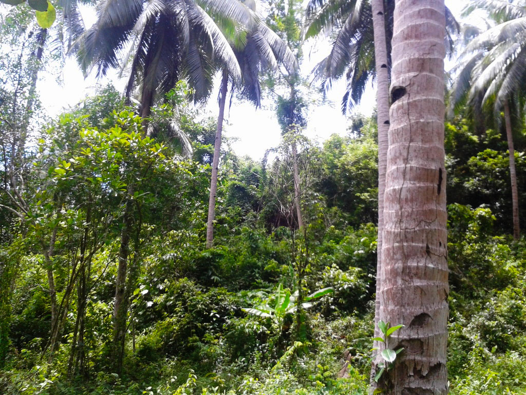 EN10-006-0264_7