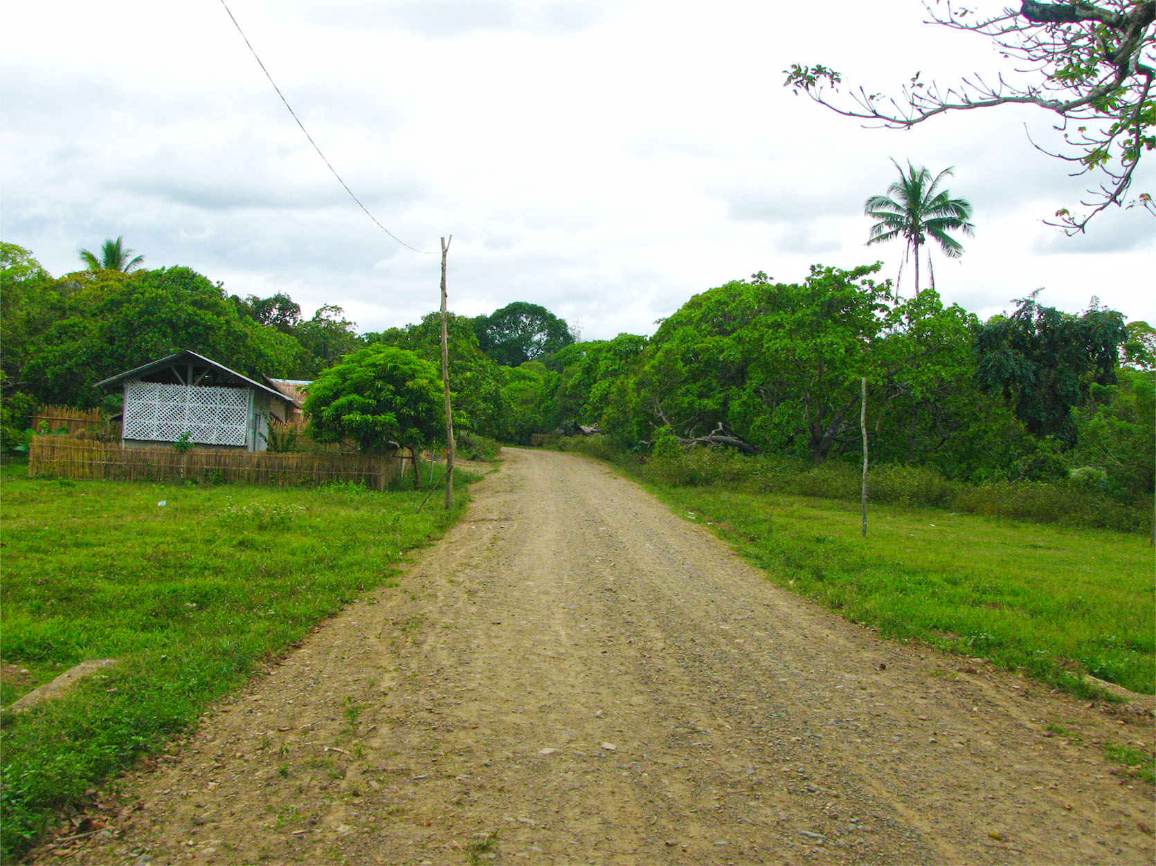 EN18-001-0196_9