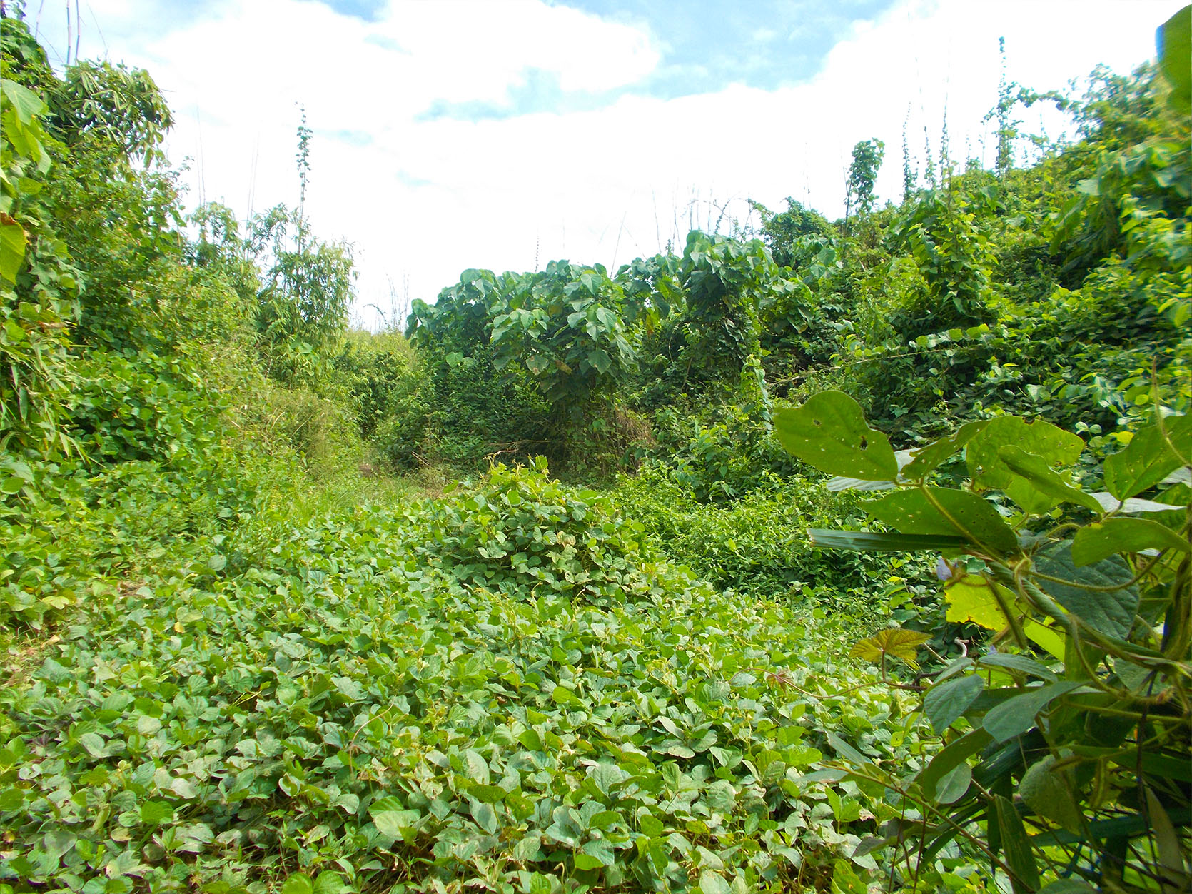 EN18-003-0958_2