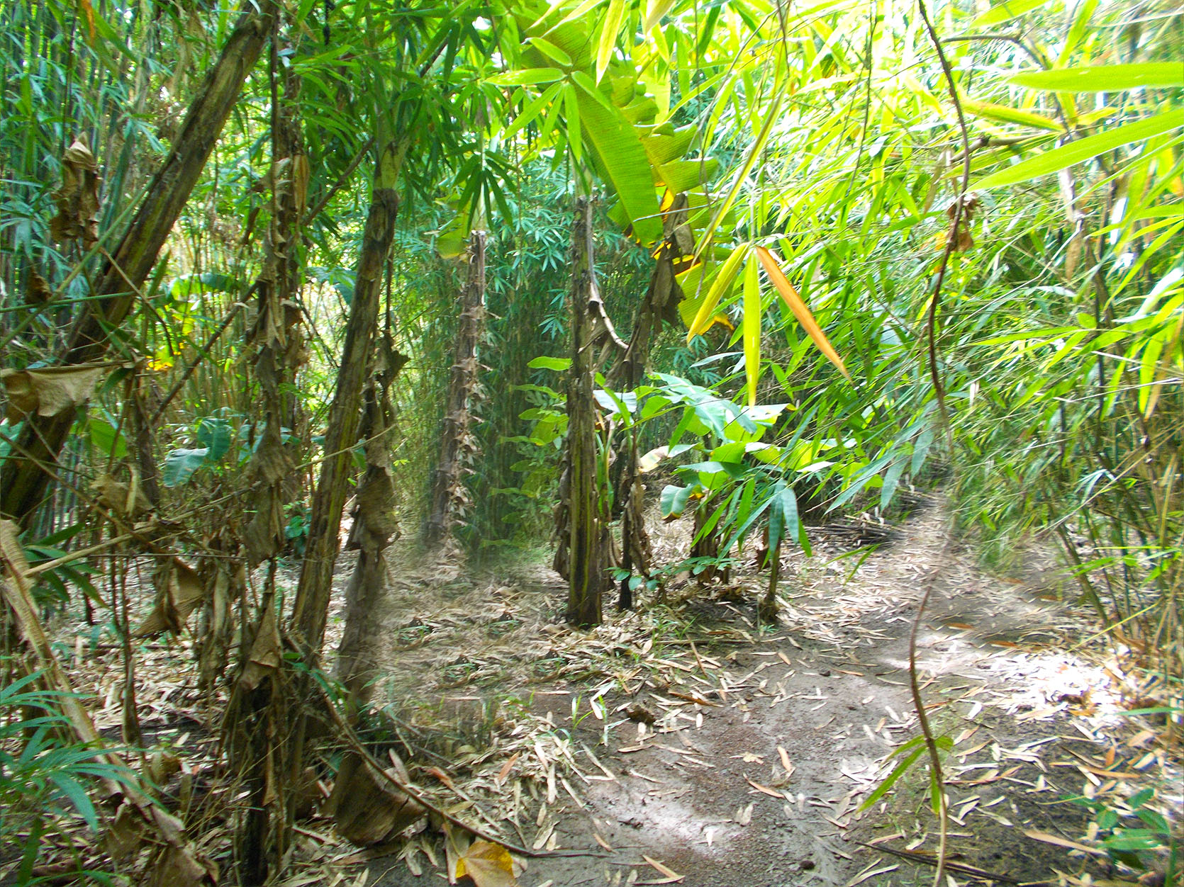 EN18-003-0958_5