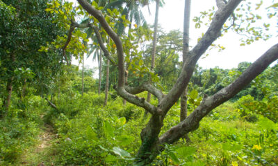 EN18-003-0958_6