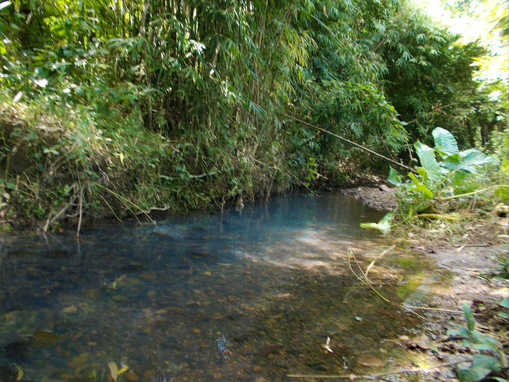 EN18-003-0958_8