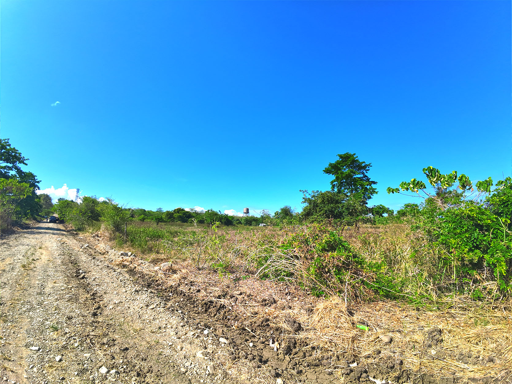 PP30-035-0078_9