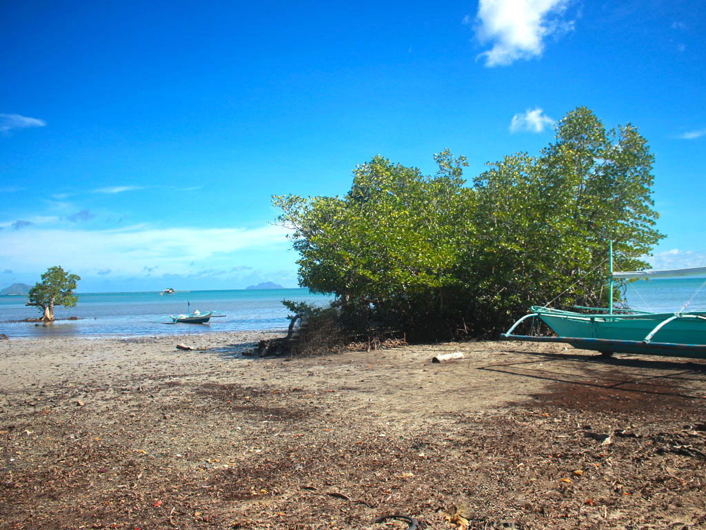 PP30-089-0636_5