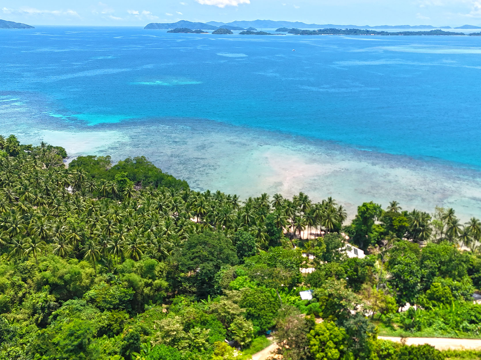 SV08-019-089804-1